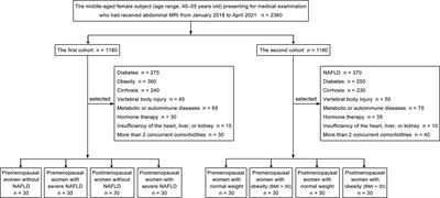 Quantification of lumbar vertebral fat deposition: Correlation with menopausal status, non-alcoholic fatty liver disease and subcutaneous adipose tissue